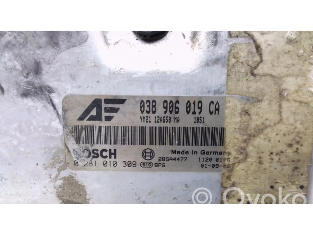 Блок управления двигателя 038906019CA, 0281010309   Ford Galaxy