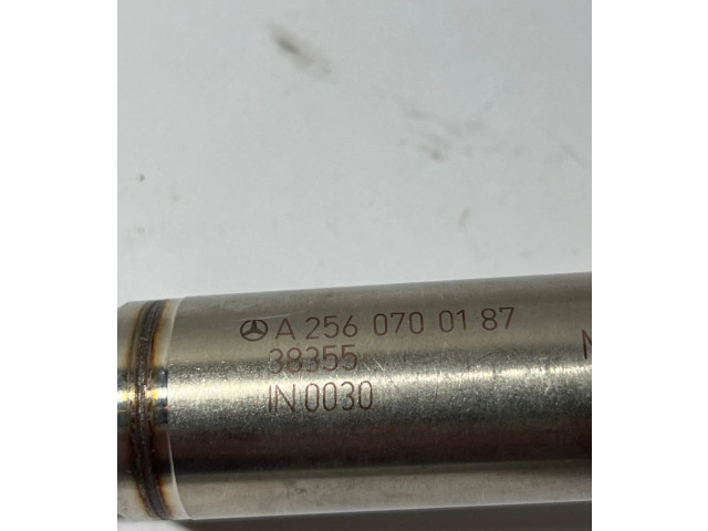 Форсунка A2560700187, 38355    Mercedes-Benz GLS X166  M 157.982 