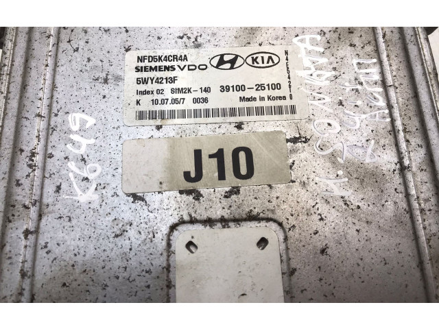 Комплект блоков управления 3910025100, K649   Hyundai Sonata