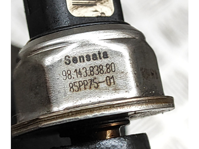 Топливная рампа 9674300080, 28285170   Citroen Jumper   для двигателя AHN (DW10FUD)