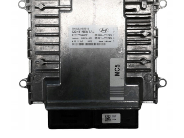 Řídící jednotka A2C1775480201, 391702GTX5   Hyundai Santa Fe 2003