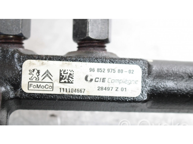 Vstřikovací lišta 9685297580, 9670076780   Ford Focus  pro naftový motor 1.6  