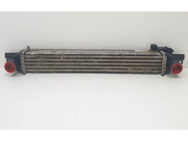 Интеркулер  51790623, L8119001   Peugeot Bipper 