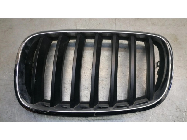 Передняя решётка BMW X5 E70 2006-2013 года 51317157687      