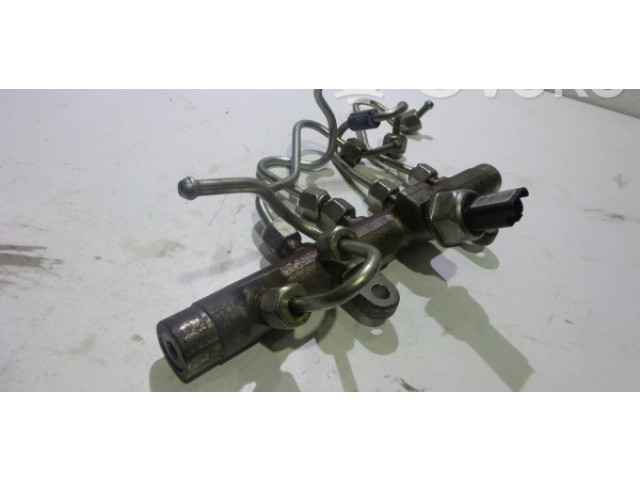 Vstřikovací lišta 8200704212   Renault Megane III     