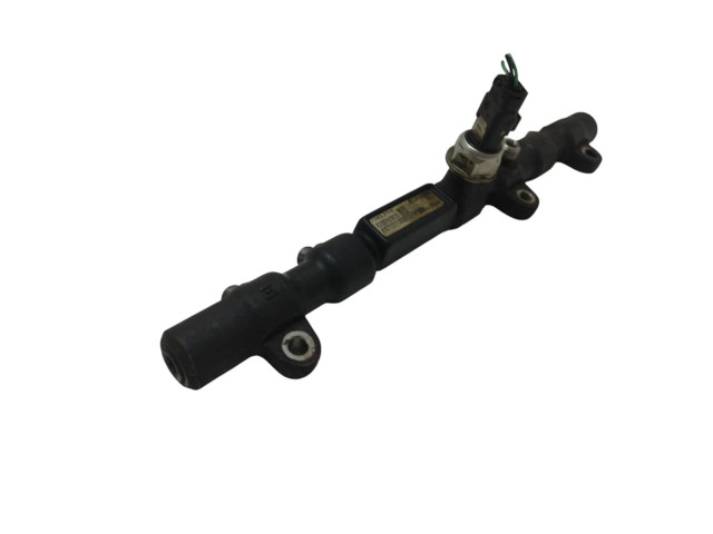 Vstřikovací lišta A6650700295, R9145010B   SsangYong Rexton I    D27DT 