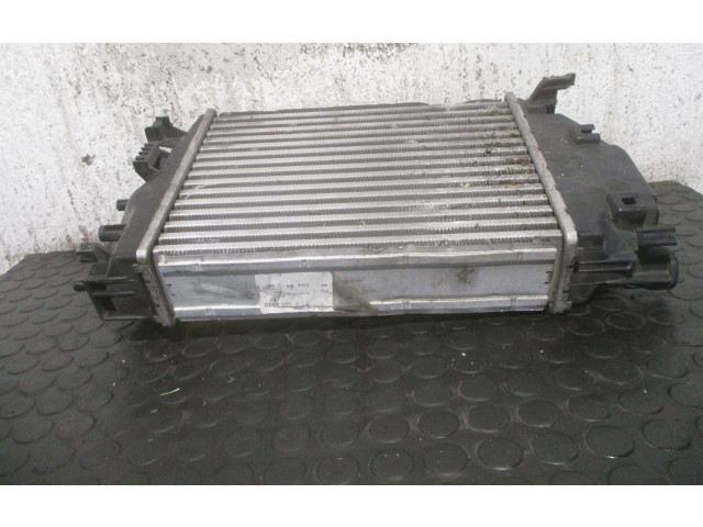 Интеркулер  144614EA1A, M166253A   Renault Kadjar 