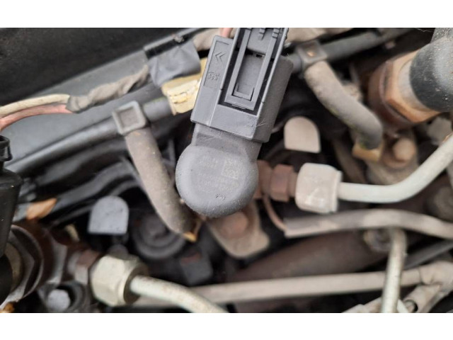 Жиклер (жиклеры) (форсунка (форсунки) 8200842205, h8200294788   Renault Laguna III