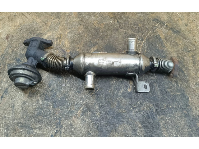 Клапан EGR 869922R, 9639874    Peugeot 307   