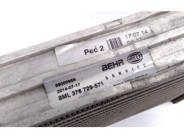 Интеркулер  8ML376729571, 99000956   Volkswagen Touareg II 
