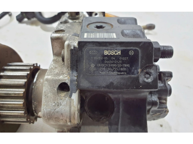 Vstřikovač 059130755AH, 059130277CJ   Audi A6 S6 C6 4F    CANA 