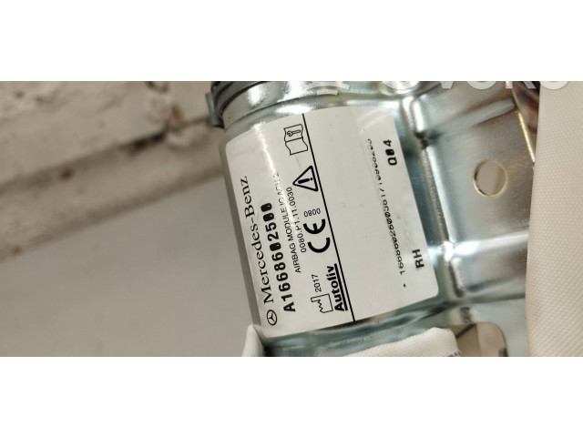 Боковая подушка безопасности A1668602500   Mercedes-Benz GLE (W166 - C292)