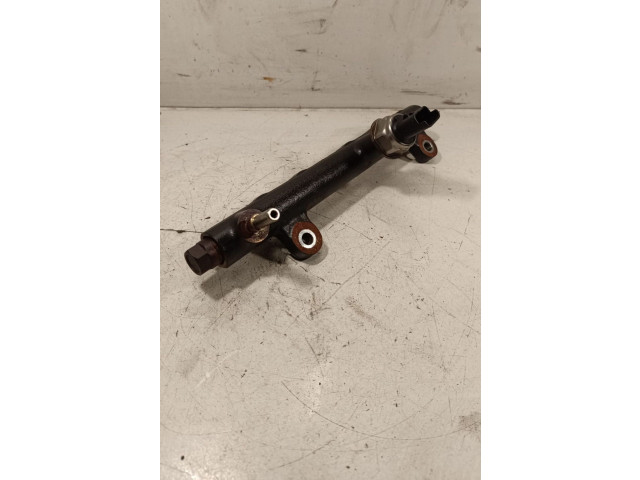 Vstřikovací lišta 9674300080, 94675G01   Ford Kuga II     