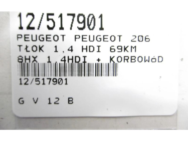 Píst    Peugeot 206 CC    8 