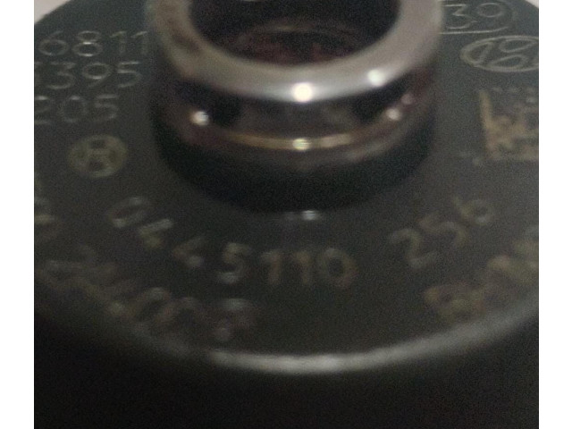 Vstřikovač 0445110256, 0445110256   KIA Rio     