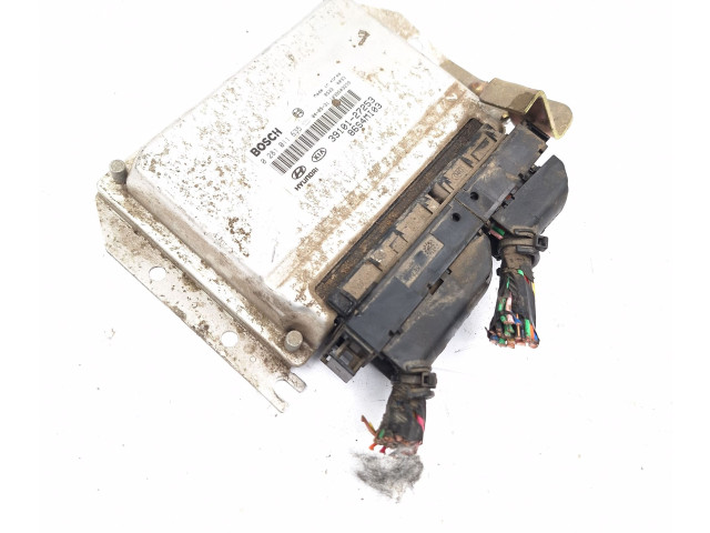 Řídící jednotka 0281011635, 3910127253   Hyundai Santa Fe 2000