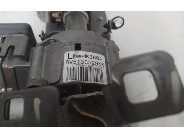 Pojistková skříňka Руль 8V513C529KK   Ford Fiesta 2009