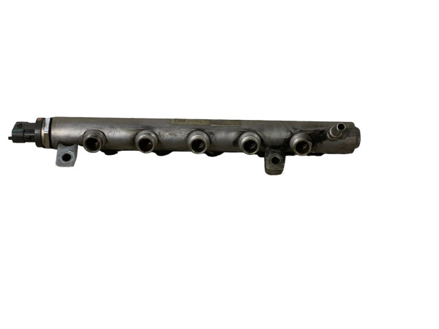 Топливная рампа 8201044829, 1312000624   Nissan Qashqai  