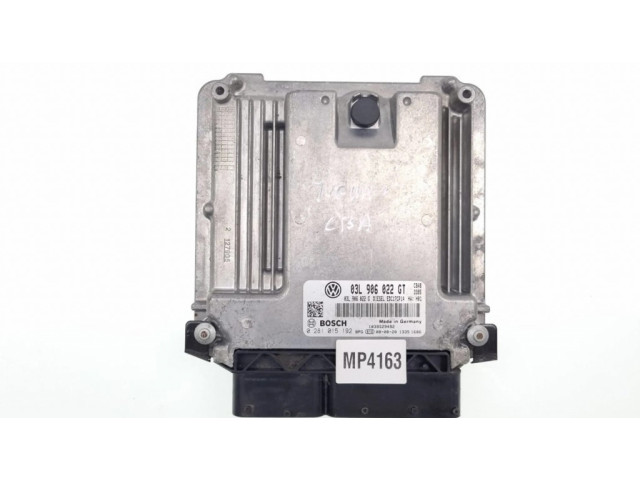 Блок управления двигателя 03L906022GT, 03L906022G   Volkswagen Tiguan
