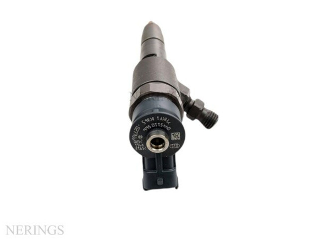 Форсунка 0445110566, A-0445110565    Citroen SpaceTourer M   