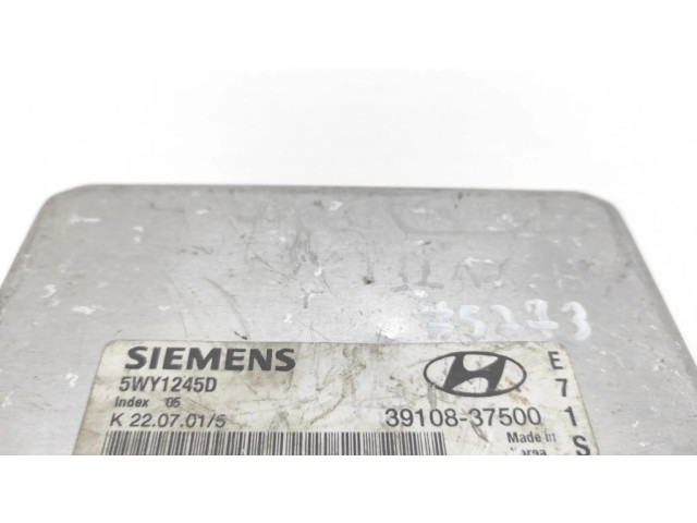 Řídící jednotka 3910837500, 5WY1245D   Hyundai Santa Fe 2002