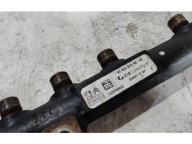 Vstřikovací lišta 9685297580   Citroen C3     