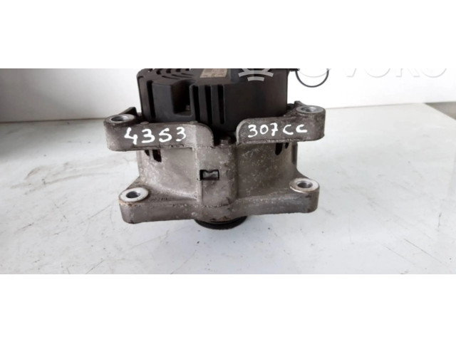 Volant Peugeot 307 CC 2003 496114  