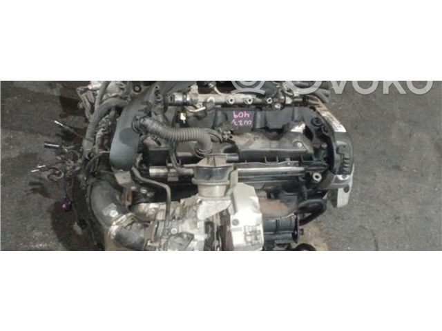 Píst    Skoda Superb B8 (3V)    CRLB 