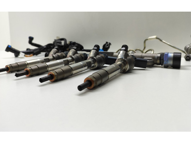 Комплект системы впрыска топлива 0445010768, 8514148    BMW 5 G30 G31  2.00 l / 140 kW (B47O) 