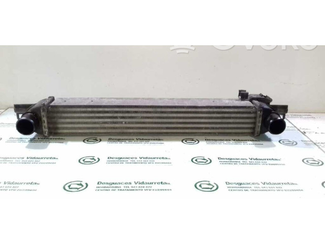 Интеркулер  51790623, L8119001   Peugeot Bipper 