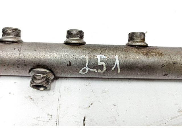 Vstřikovací lišta A6420702595, 1134903   Mercedes-Benz R W251    642872 