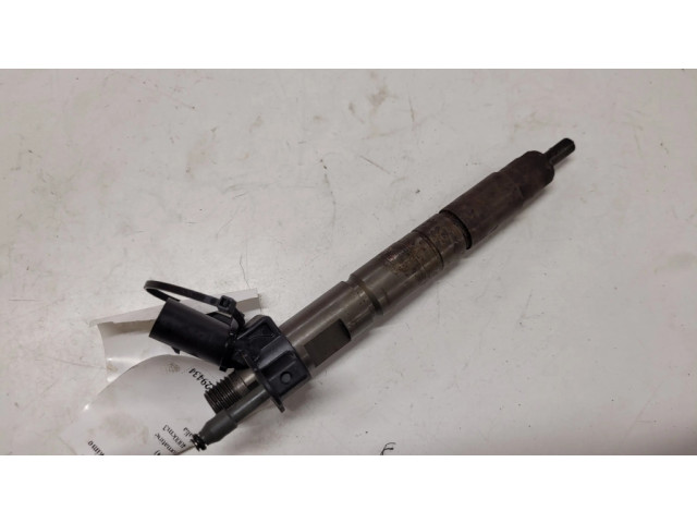 Vstřikovač 780543003, A1SK6NF   BMW X6 E71  pro naftový motor 4.0  