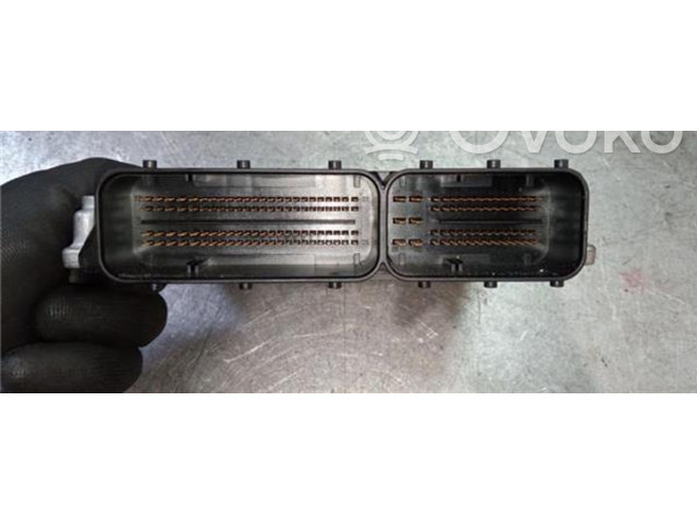Блок управления 0281016924, DDE8510591   BMW X1 E84
