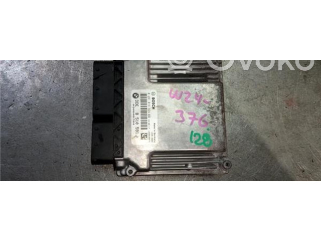 Блок управления 0281016924, DDE8510591   BMW X1 E84