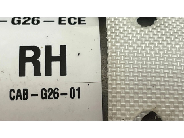 Боковая подушка безопасности 641025400, 7428062   BMW i4