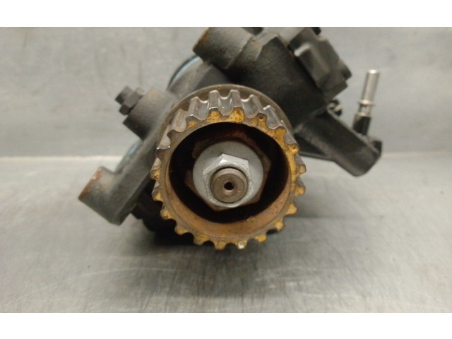 Vstřikovací čerpadlo 167003669R, 5WS40844   Renault Megane IV    K9KG656 