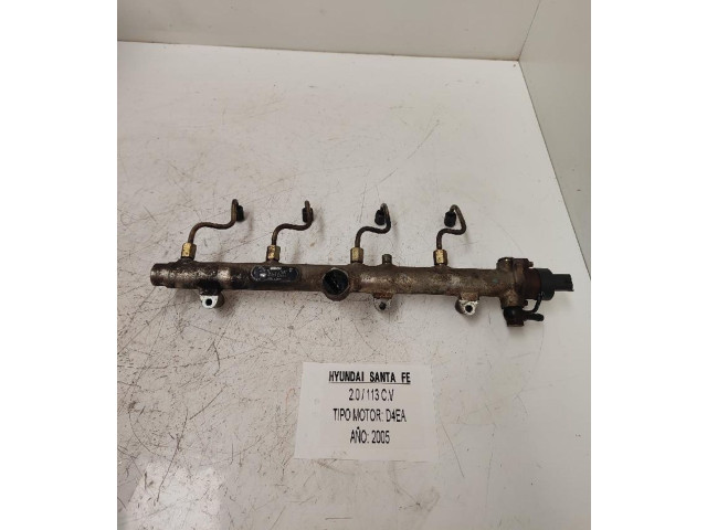 Vstřikovací lišta 0445214026, BOSCH   Hyundai Santa Fe    D4EA 