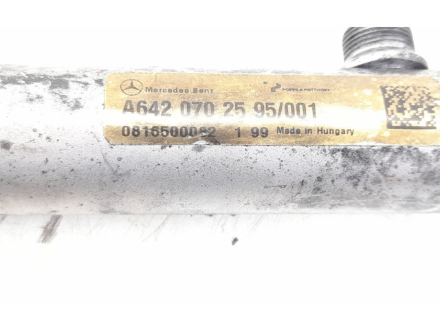 Vstřikovací lišta 6420702595, 0061536528   Mercedes-Benz GL X164    OM 642.940 