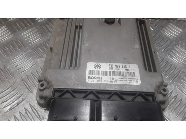 Блок управления двигателя 03G906016A, 0281010731   Volkswagen Touran I