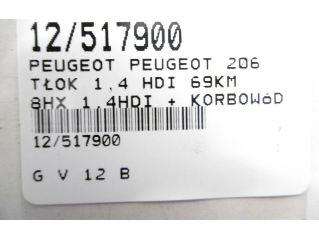 Píst    Peugeot 206 CC    8 