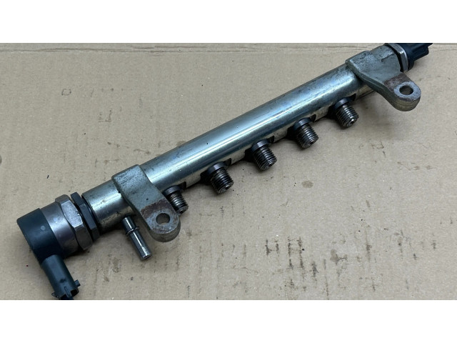 Vstřikovací lišta 9670890580, 9671002980   Land Rover Range Rover Evoque L538  pro naftový motor 2.2 BG9Q6007BA 22DDER