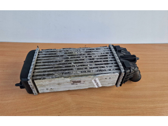 Интеркулер  9684311680, 0384N7   Citroen C3 