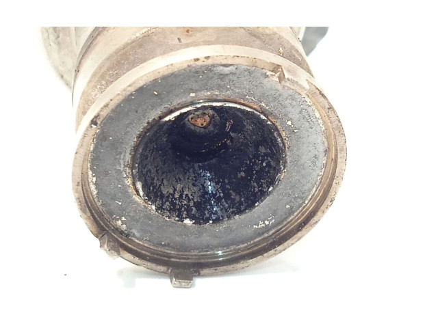 Жиклер (жиклеры) (форсунка (форсунки)    9802763880   Citroen SpaceTourer XL
