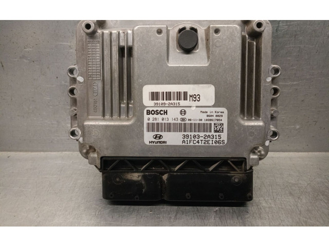 Řídící jednotka 391032A315, 0281013143BOSCH   Hyundai Matrix 2007
