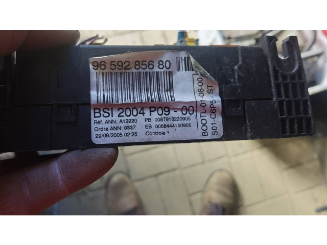   Pojistková skříňka 9659285680, 0087916220905   Citroen C2 2005