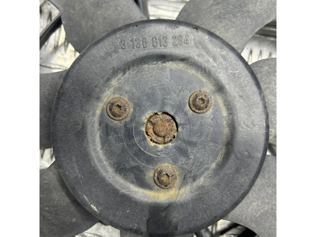 Вентилятор радиатора     3136613284    Ford Galaxy 1.9