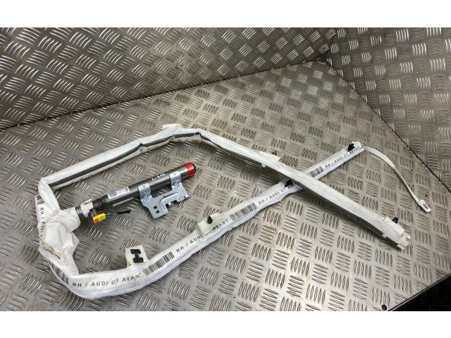 Поршень Надувная подушка для крыши CZVA 4G9880742C  Audi A6 Allroad C7  