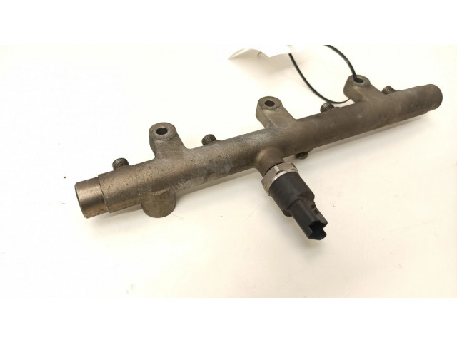 Vstřikovací lišta 0445214019, 010831   Peugeot 307  pro naftový motor 2.0  