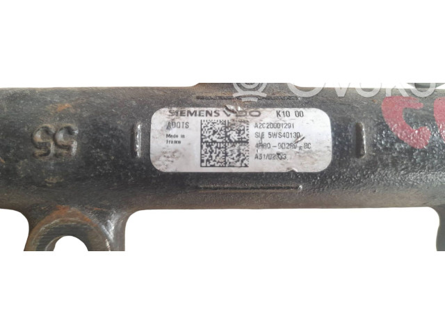 Vstřikovací lišta 5WS40130, 4R8Q9D289BC   Citroen C6    UHZ 