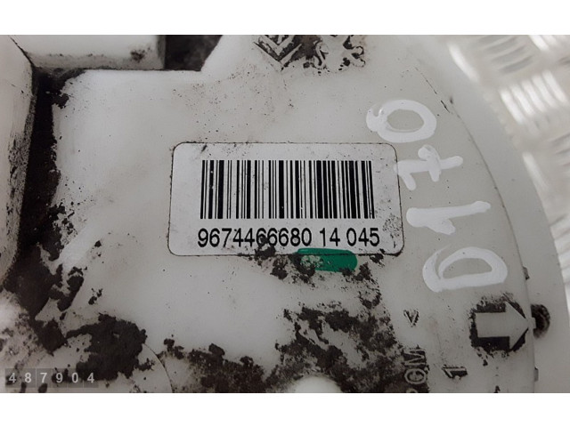 Vstřikovací čerpadlo 9674466680   Peugeot 208    ZMZ 